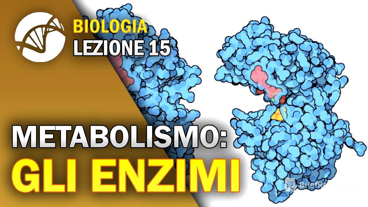 BIOLOGIA - Lezione 15 - Gli Enzimi | Metabolismo Cellulare