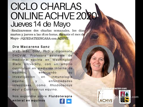 Fluidoterapia enteral en equinos