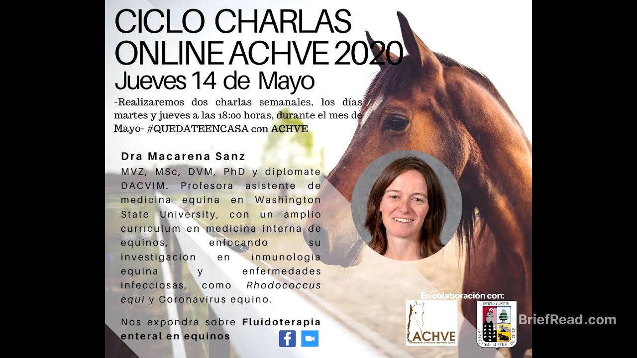 Fluidoterapia enteral en equinos