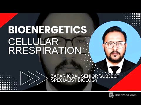 Cellular respiration overview