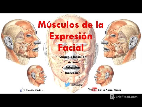 Anatomía - Músculos de la Expersión Facial (Origen, Inserción, Acción, Inervación)