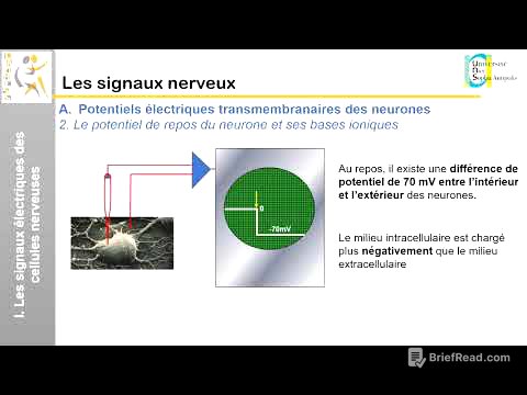 II. Les signaux nerveux: Les signaux électriques des cellules nerveuses (1)