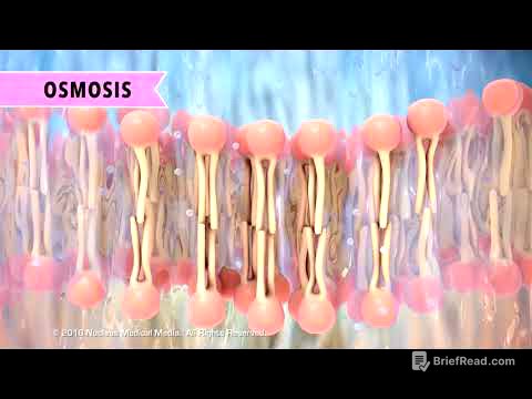PassiveTransport