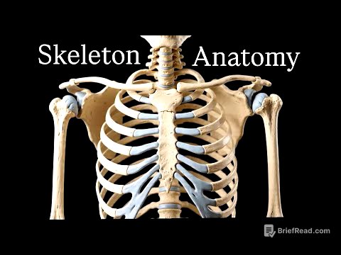 Skeleton Bones Anatomy |All skeleton bones in one video| #anatomy #mbbs #bones #aiimsdelhi #medical