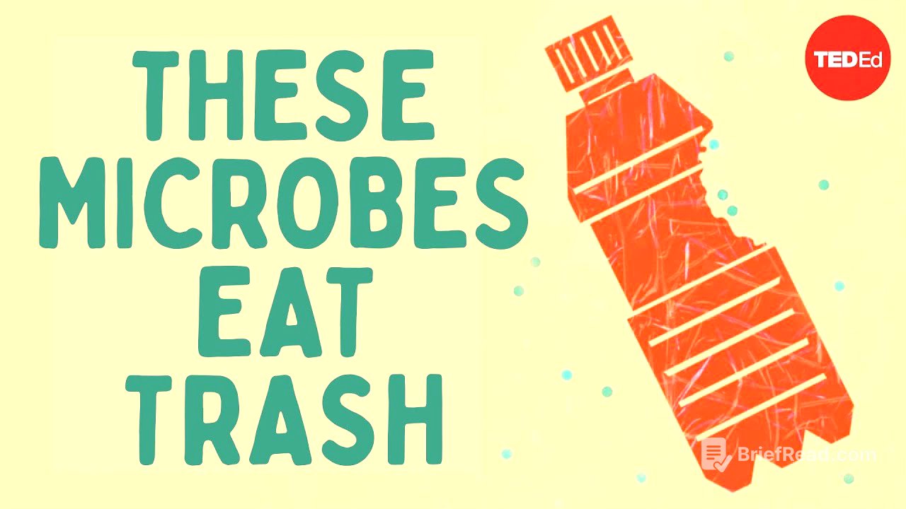 The smallest solution to one of our biggest problems - Tierney Thys & Christian Sardet
