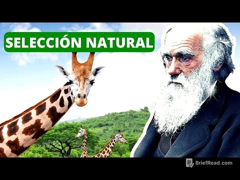 La SELECCIÓN NATURAL explicada: proceso, Darwin, ejemplos🐦