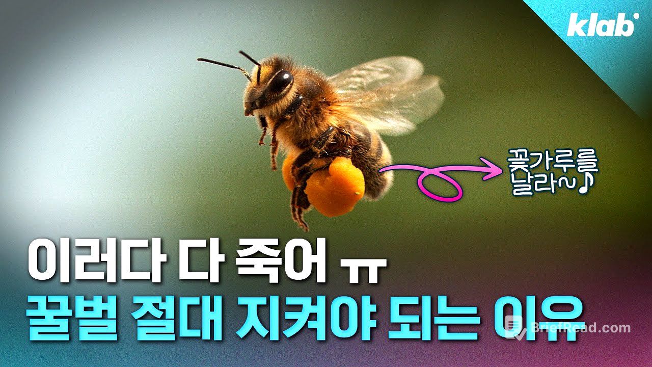 🐝 텅텅 비어가는 벌통...1년에 140억 마리 이상 사라지고 있습니다 "진짜 이러다 우리 다 죽어 ㅠㅜ" ｜크랩  (유료광고 포함)