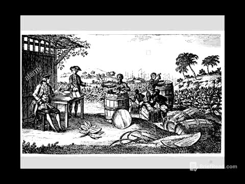 4b American Slavery American Freedom Slavery in the British American Colonies