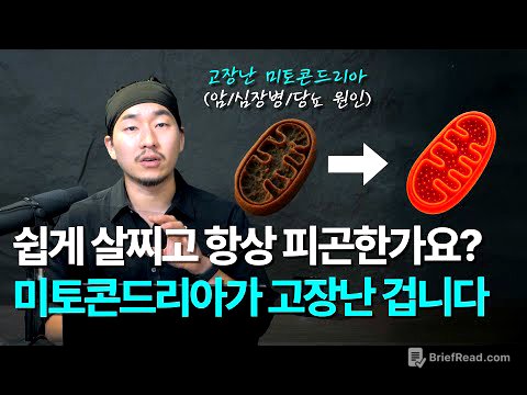 3가지만 실천해보세요! 미토콘드리아를 고치면 남들보다 20년 젊게 살 수 있습니다 (스탠포드 출신 케이시 민즈가 설명하는 비만, 당뇨, 암, 심혈관 질환 예방법) [EN/KR]