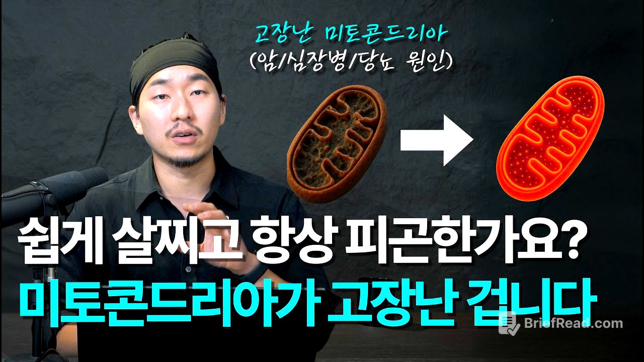3가지만 실천해보세요! 미토콘드리아를 고치면 남들보다 20년 젊게 살 수 있습니다 (스탠포드 출신 케이시 민즈가 설명하는 비만, 당뇨, 암, 심혈관 질환 예방법) [EN/KR]