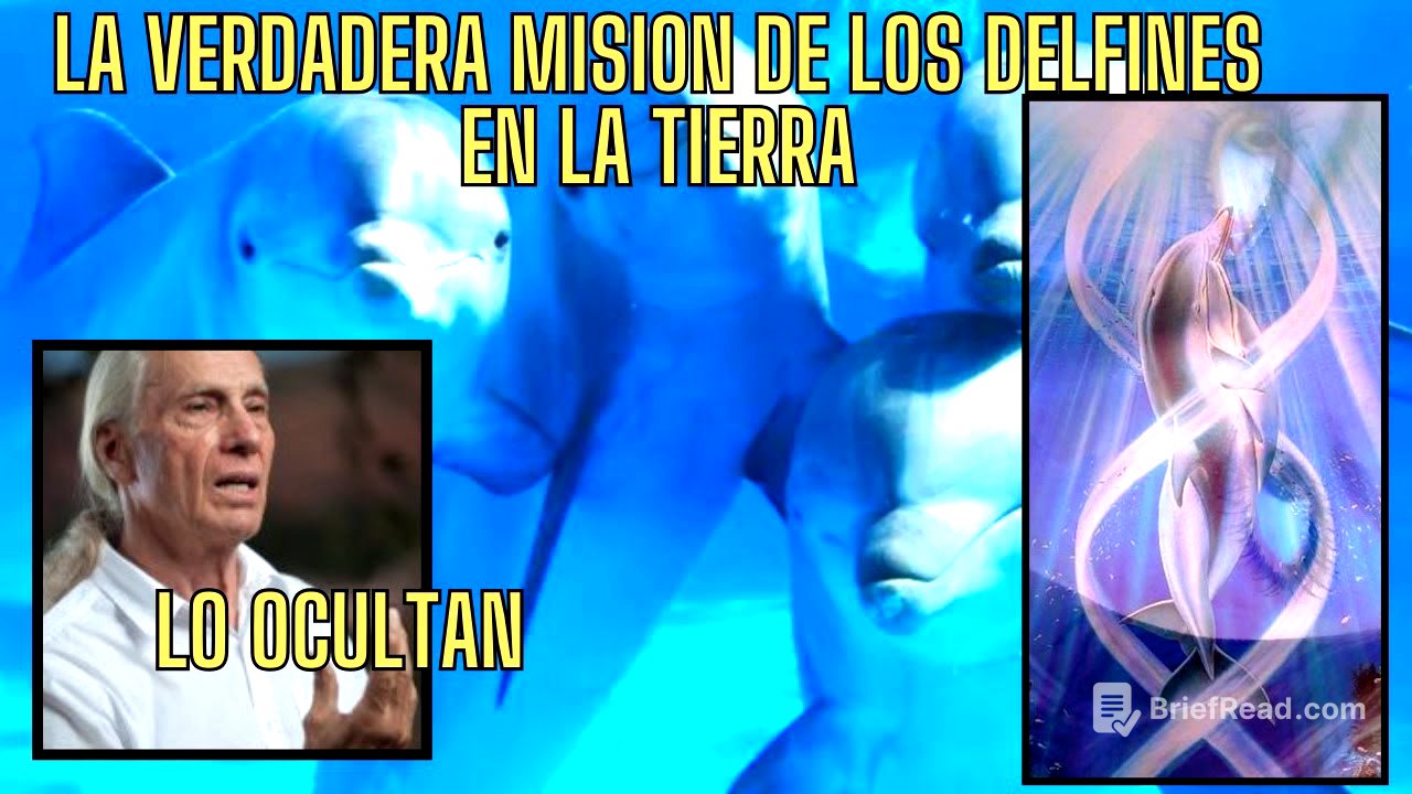 MAESTRO ESPIRITUAL REVELA CUAL ES EL PODER REAL DE LOS DELFINES Y SU MISION EN LA TIERRA