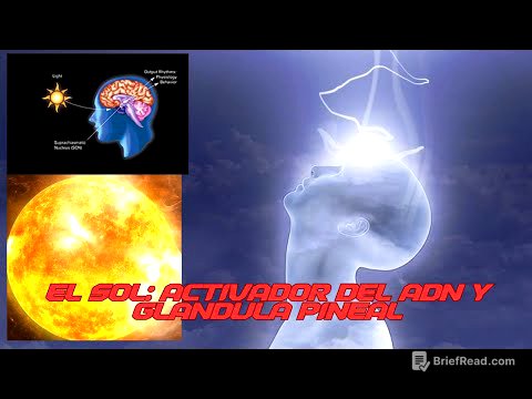 EL SECRETO DEL SOL, LA ACTIVACIÓN DEL ADN Y LA GLÁNDULA PINEAL