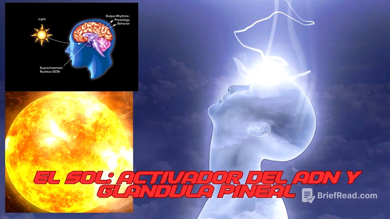 EL SECRETO DEL SOL, LA ACTIVACIÓN DEL ADN Y LA GLÁNDULA PINEAL