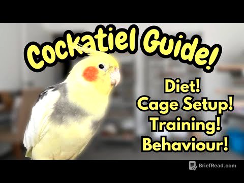 Cockatiel Guide | Tips For New Bird Owners | Cockatiel Care, Diet, Training & Behaviour