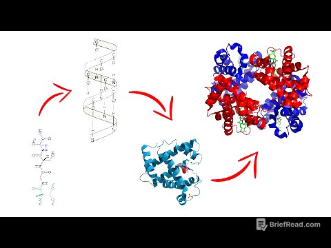 Estructura de las proteínas | Medicina en 5 MINUTOS