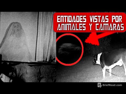 C 44 - PORQUÉ LAS CAMARAS CAPTAN ENTIDADES?