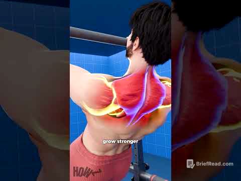 What Happens If You Only Train Back? 💪