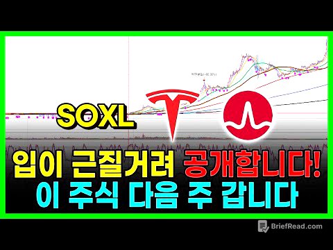 입이 근질거려 공개합니다! 이 주식 다음 주 갑니다. 테슬라 브로드텀 SOXL 엔비디아 애플 알파벳...