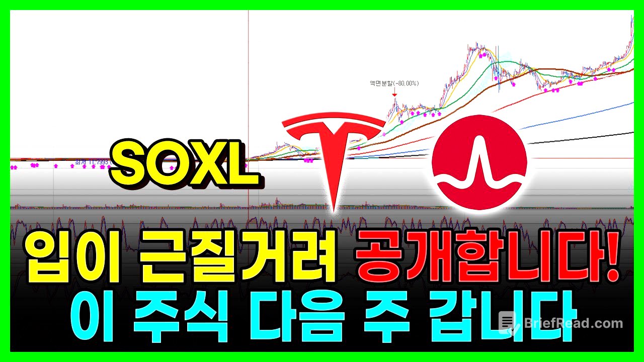 입이 근질거려 공개합니다! 이 주식 다음 주 갑니다. 테슬라 브로드텀 SOXL 엔비디아 애플 알파벳...