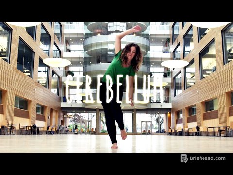 Neuroanatomy S1 E8: Cerebellum #neuroanatomy #ubcmedicine