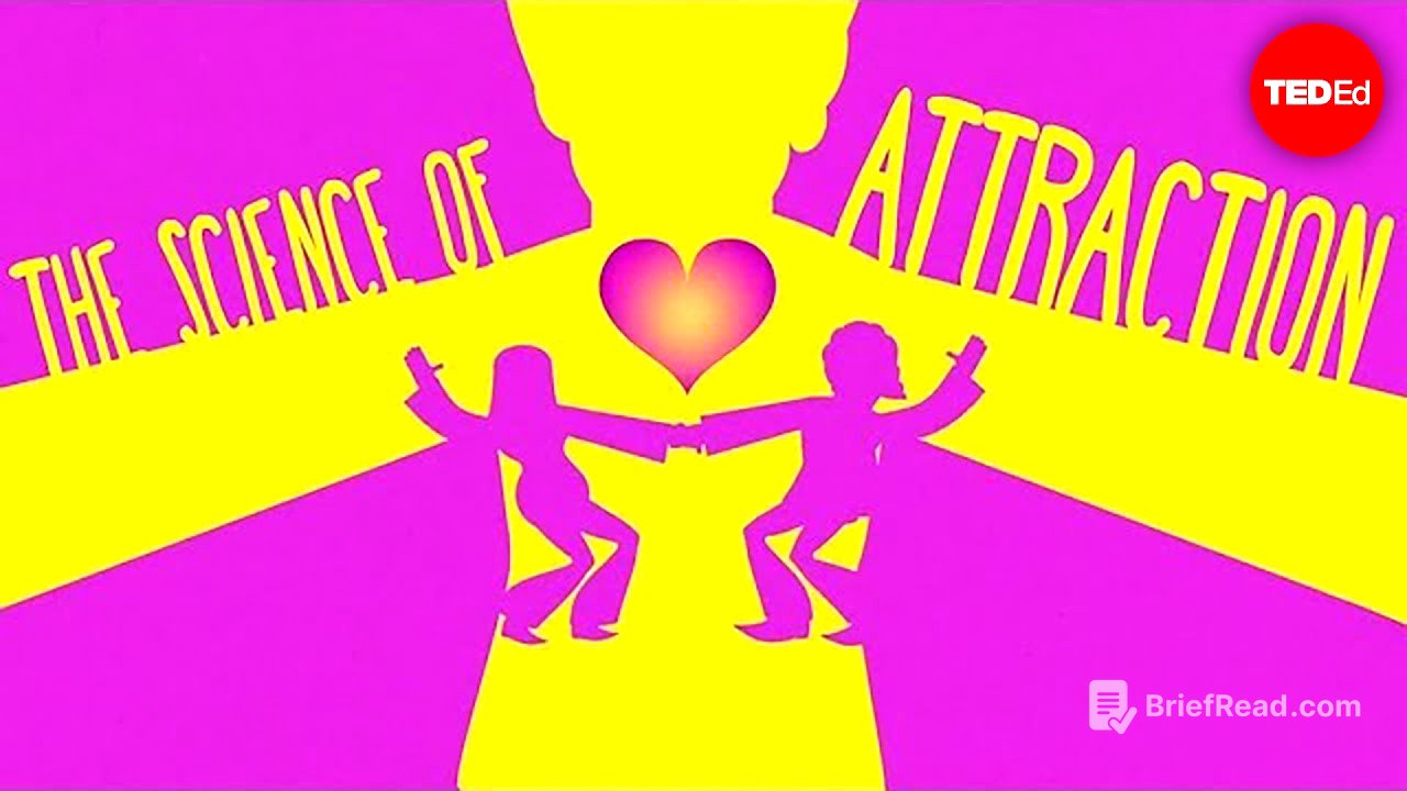 The science of attraction - Dawn Maslar