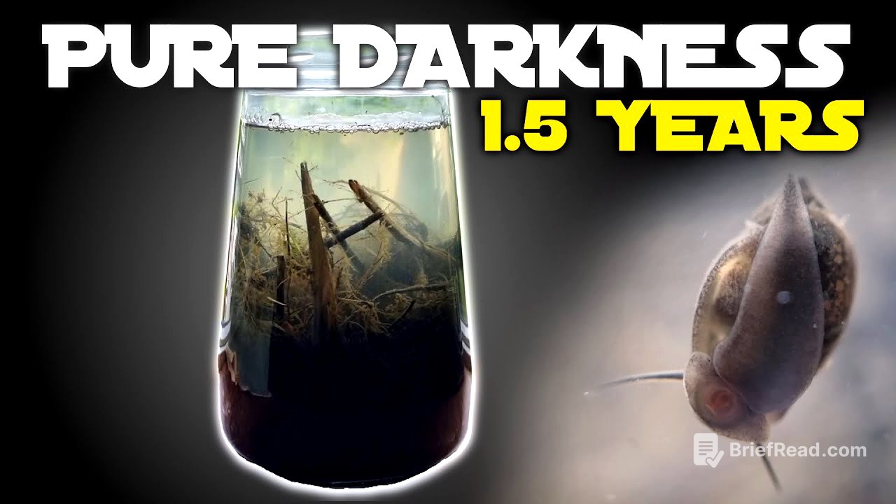 Keeping Pond Life in COMPLETE DARKNESS for 1.5 YEARS
