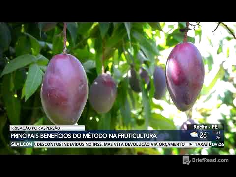 Conheça os benefícios da irrigação por aspersão na fruticultura