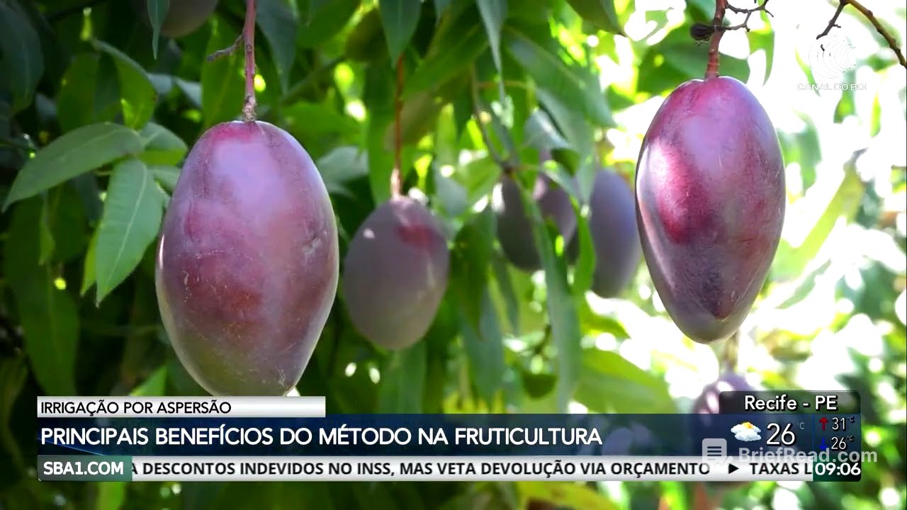 Conheça os benefícios da irrigação por aspersão na fruticultura
