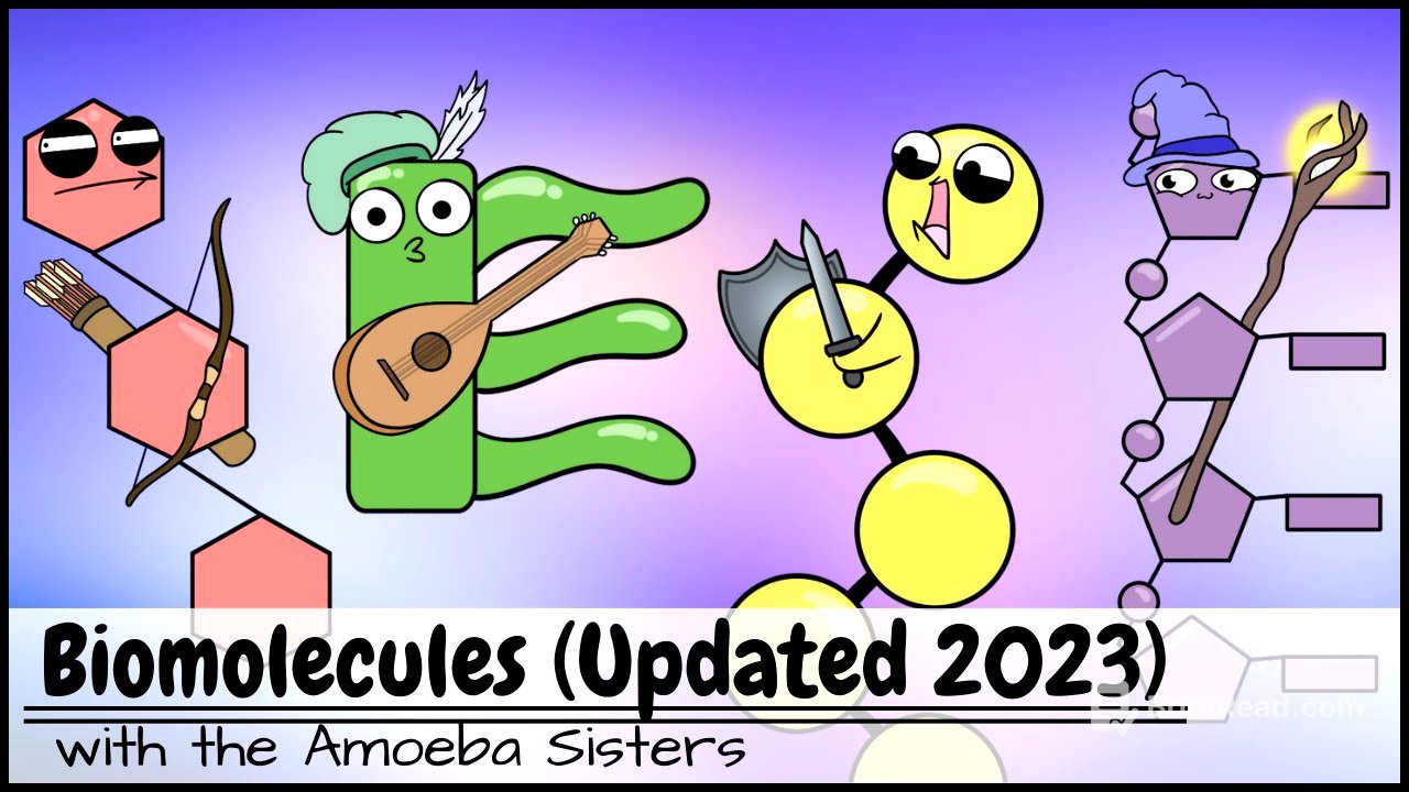 Biomolecules (Updated 2023)