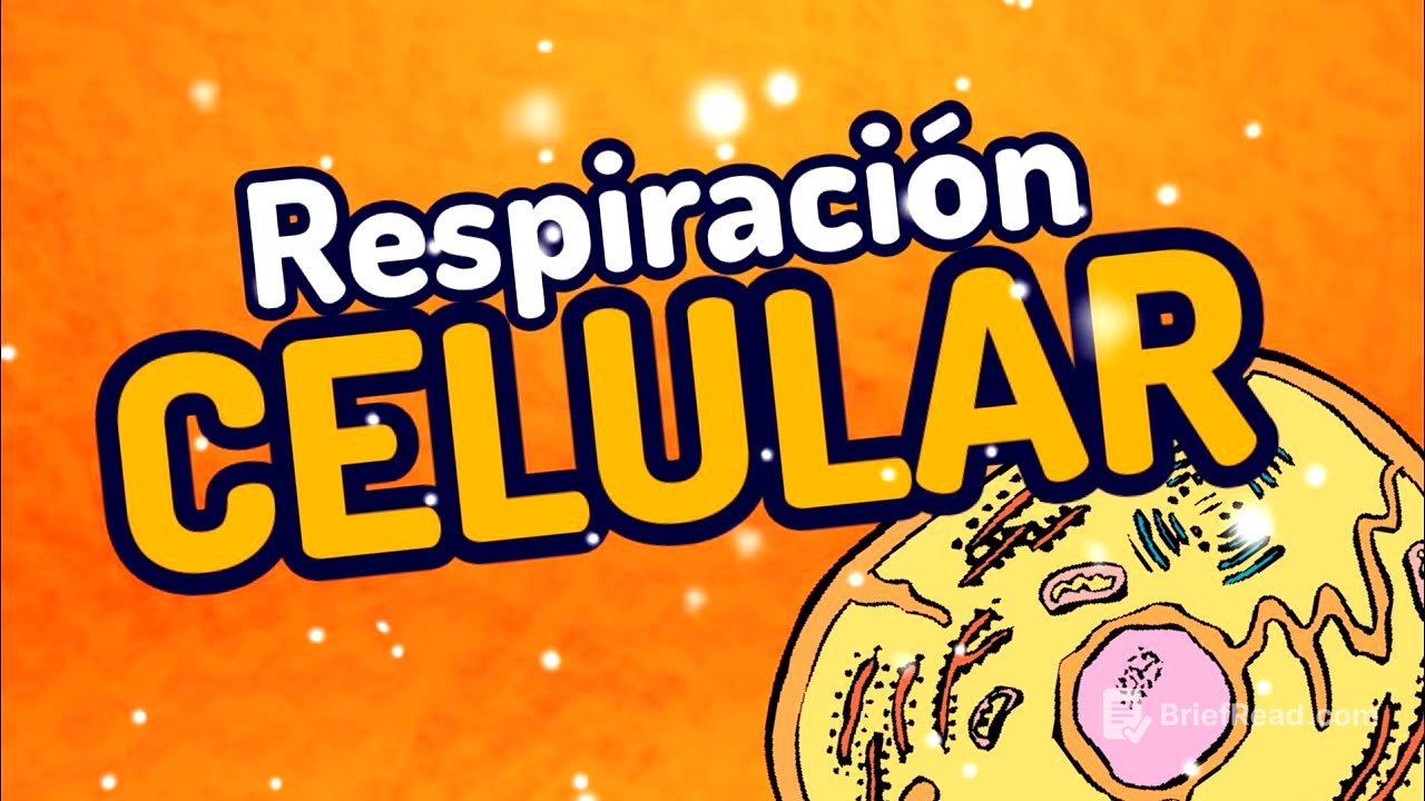 ⚡RESPIRACIÓN CELULAR(en 3 minutos) glucolisis y ciclo de krebs GUÍA UNAM