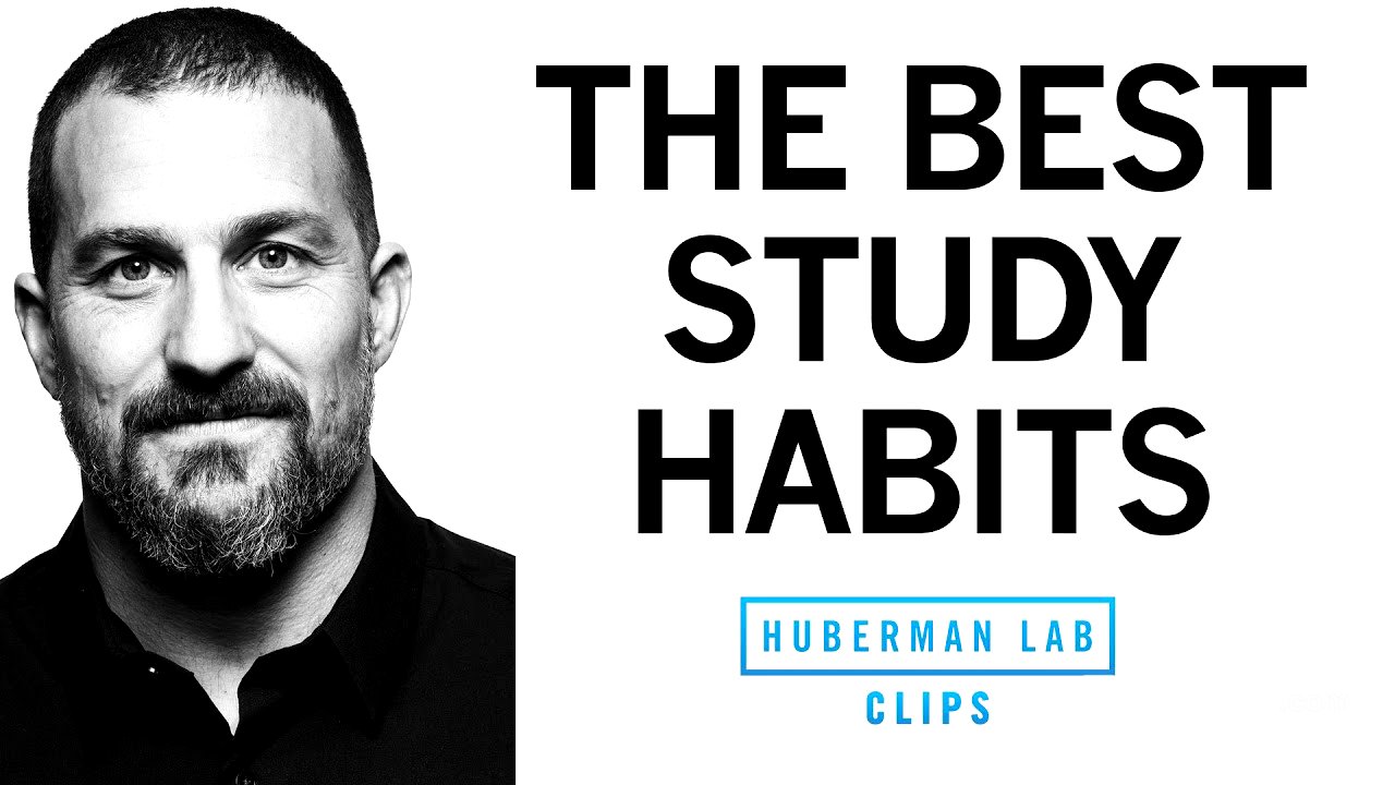 The Top Study Habits to Improve Learning | Dr. Andrew Huberman