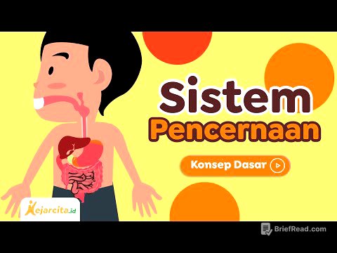 Sistem Pencernaan | IPA SD