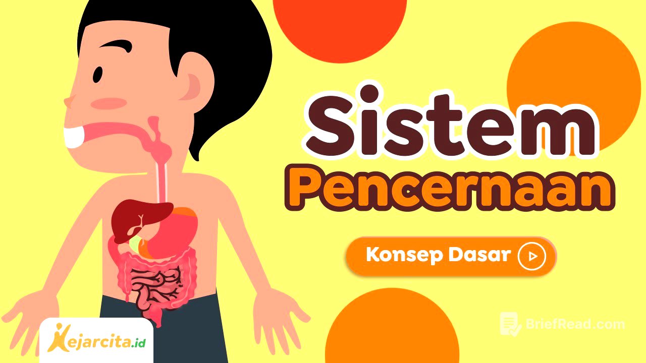 Sistem Pencernaan | IPA SD