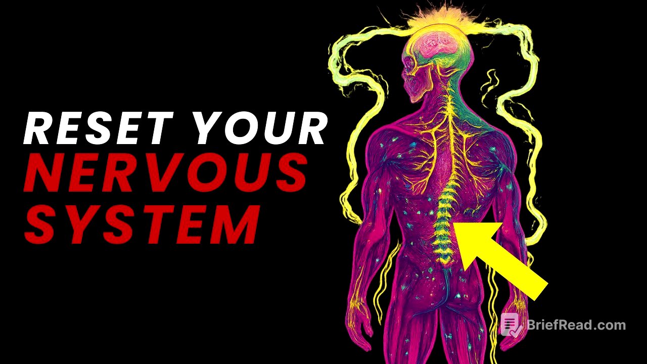 If You Don’t Reset Your Nervous System, You Can’t Manifest Anything