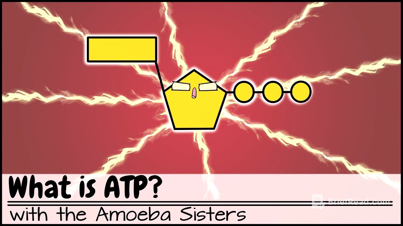 What is ATP?