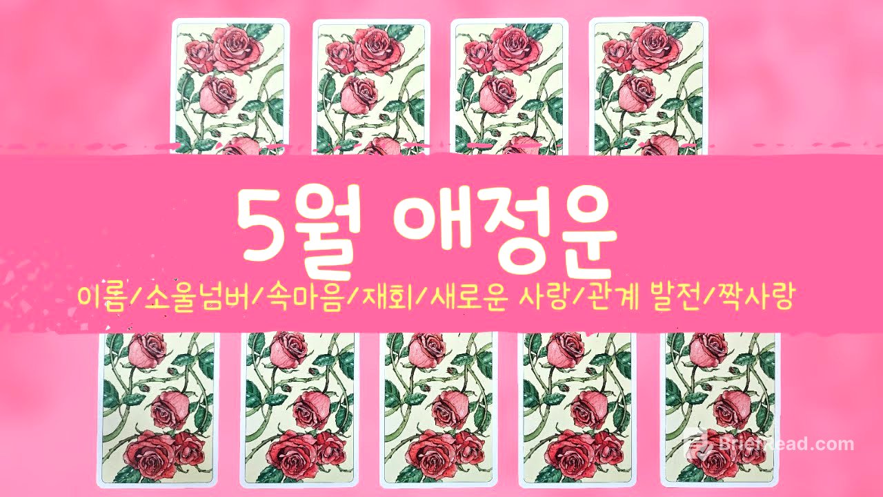 [타로/애정] 5월 연애운/이름/소울넘버/새로운 사랑/관계 발전/재회/속마음/짝사랑