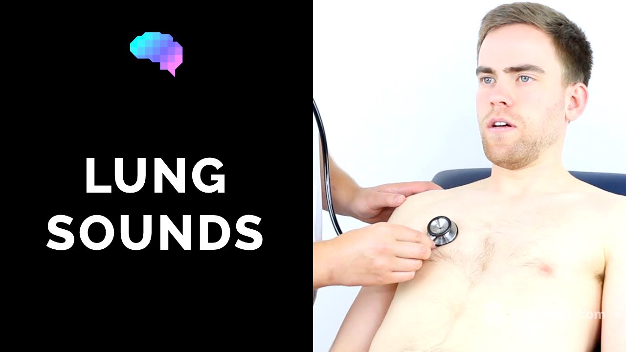 Lung sounds (respiratory auscultation sounds) | UKMLA | CPSA | PLAB 2
