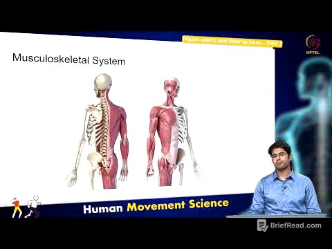 Major joints and their actions - Part 1
