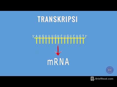 SINTESIS PROTEIN : TRANSKRIPSI