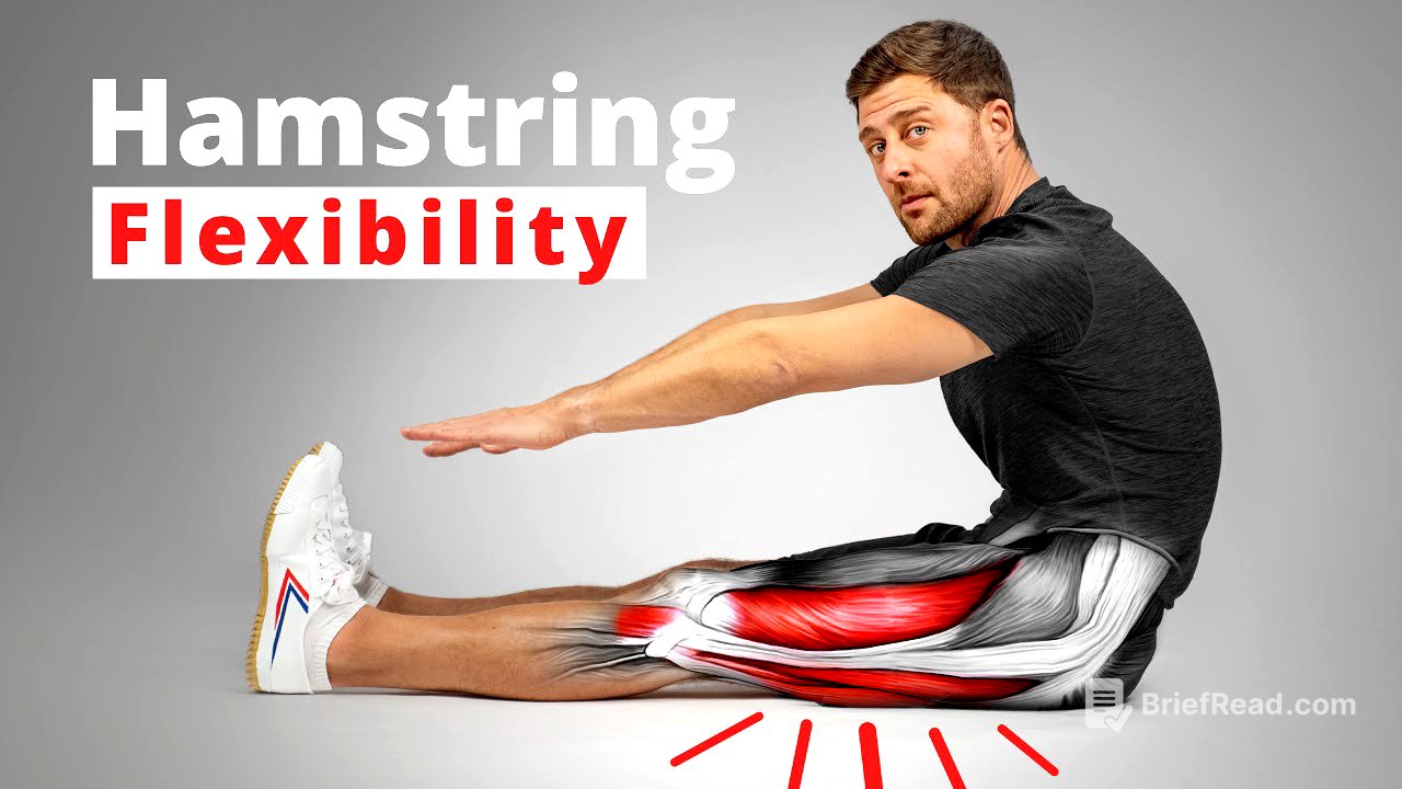 The Science of Hamstring Flexibility – Anatomy & Training Techniques