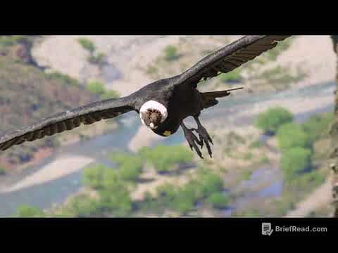 Colombia Magia Salvaje