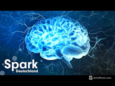 Gehirn-Evolution: Was Forscher gerade entdecken