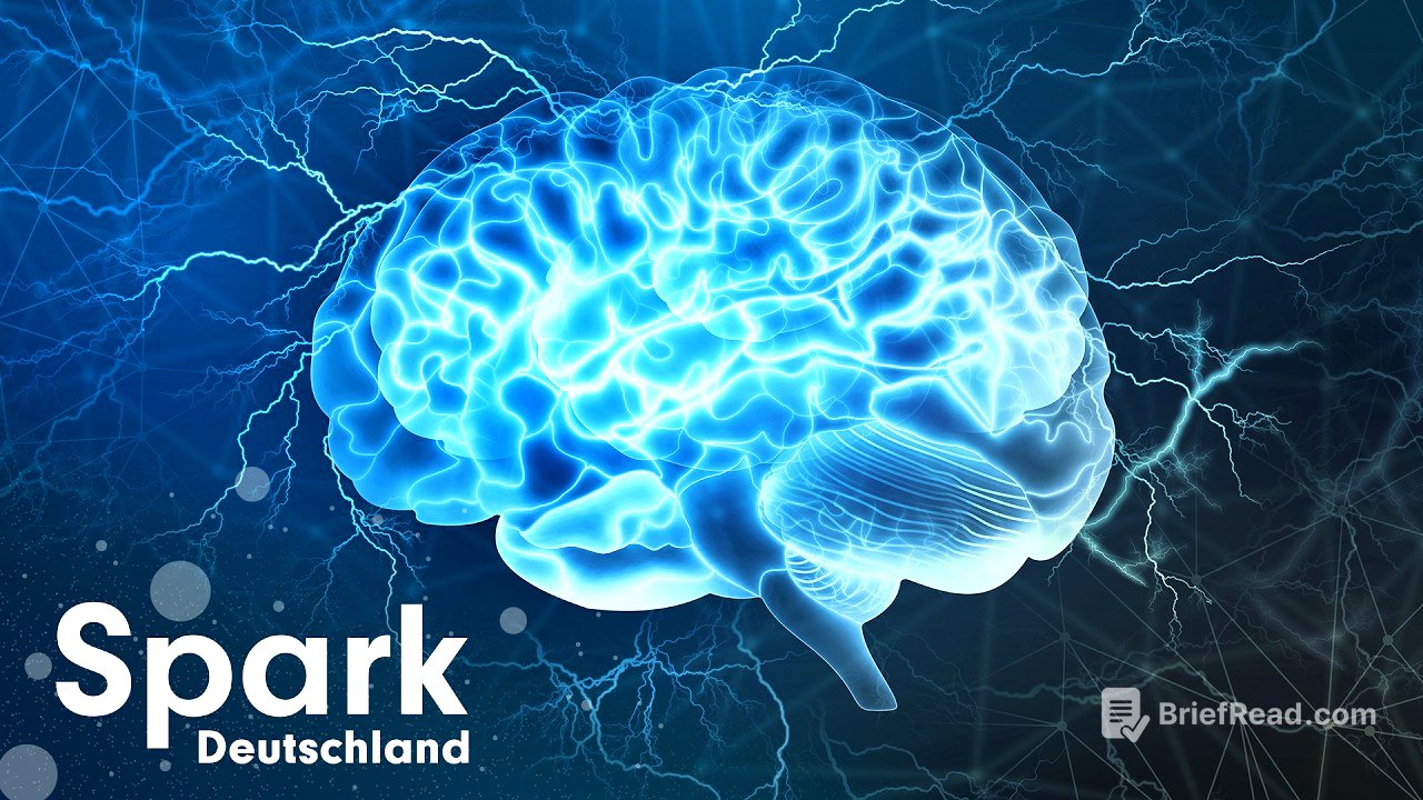 Gehirn-Evolution: Was Forscher gerade entdecken