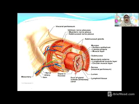 Biologi Kelas 11, Sistem Pencernaan1: Pendahuluan - Rongga Mulut
