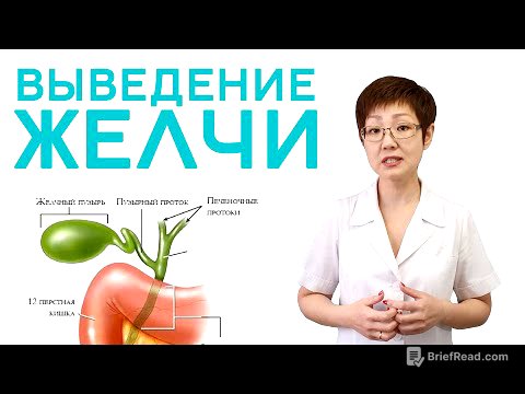 Выведение желчи | Доктор Ирина Мироновна