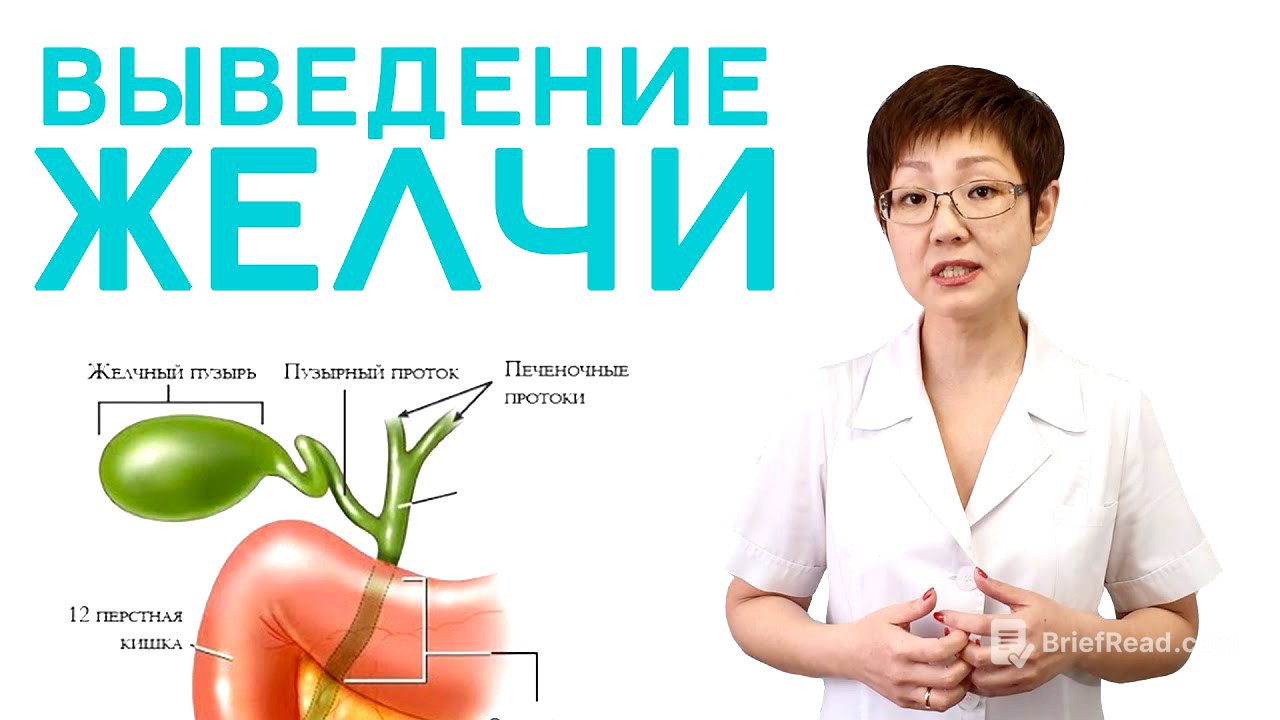 Выведение желчи | Доктор Ирина Мироновна
