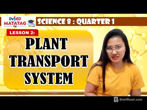 PLANT TRANSPORT SYSTEM | Science 8. Q1. DepEd MATATAG