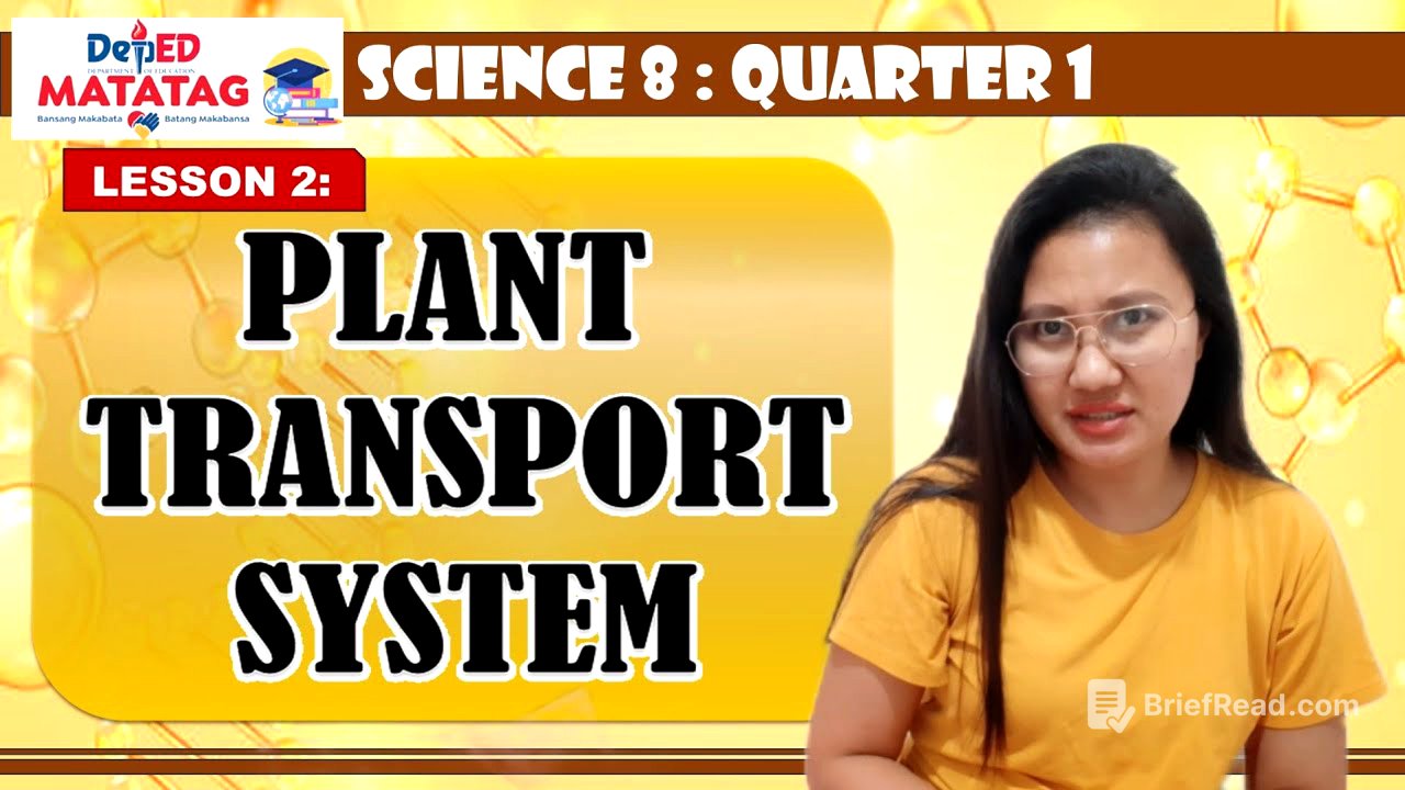 PLANT TRANSPORT SYSTEM | Science 8. Q1. DepEd MATATAG