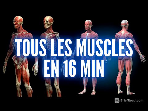 TOUS LES MUSCLES DU CORPS HUMAIN EN 16 MIN