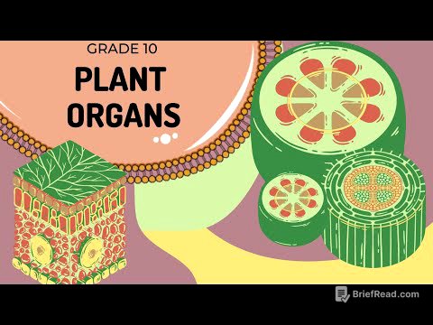 Plant organs | The basic structure and function of each